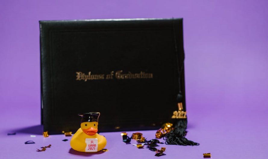 Купить диплом менеджера с занесением в реестр